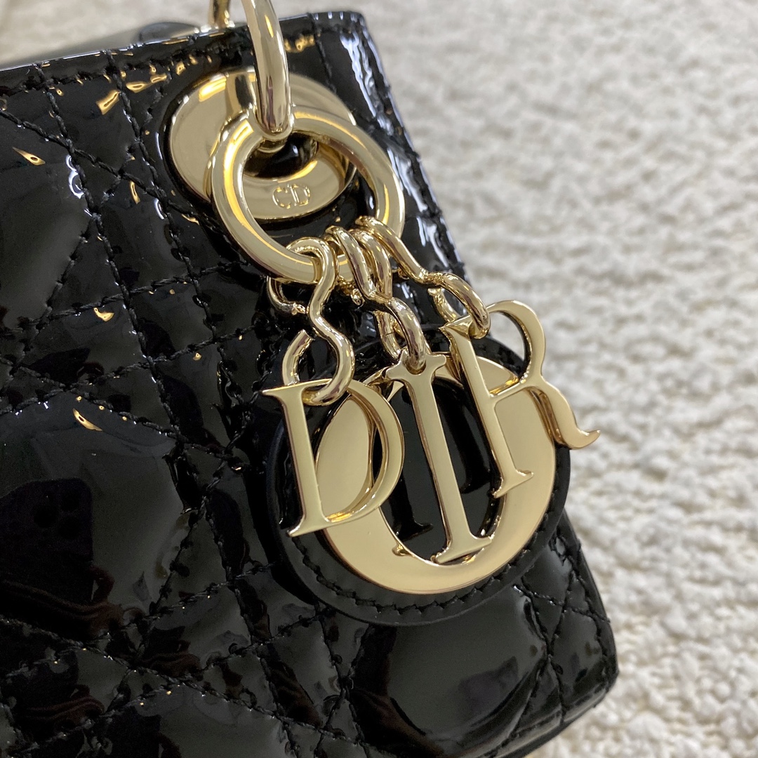 1704686447.4664DjvkqXzErgMICRO LADY DIOR BAG  S0856 11.jpg