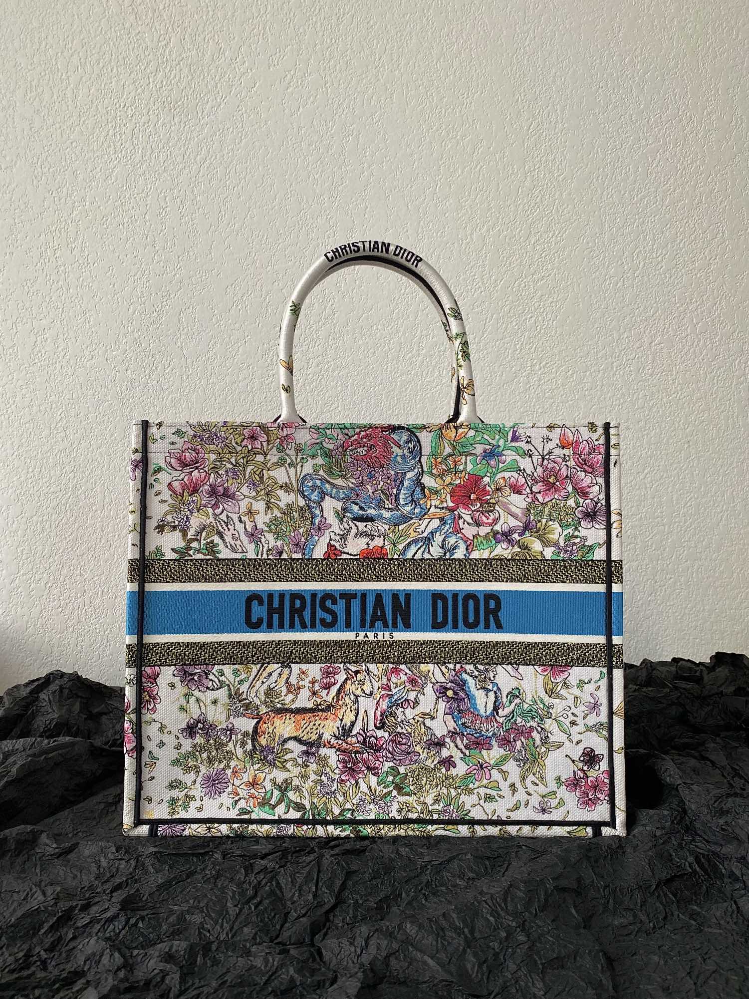 1704717402.9855DvSTWrpuSiDIOR BOOK TOTE M1286 6.jpg